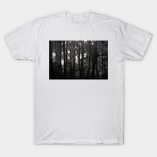 Into Dark Woods T-Shirt